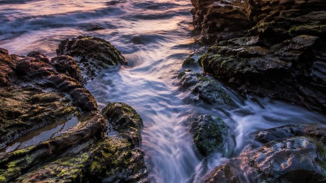 Captivating Textures: Nature-Inspired Wallpapers for Your Screen | sayap123 123 slot, nikenbicarafil