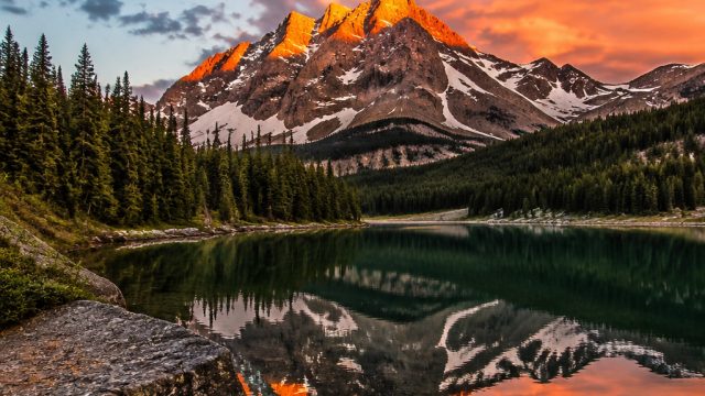 Dynamic Wallpapers: Elevate Your Screen with Stunning Visuals | rtp duo gaming, bandar4d slot login,