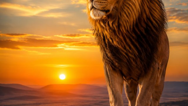 Captivating Wildlife Wallpapers: Nature's Beauty at Your Fingertips | 212 slot, raja cash99 slot, jd