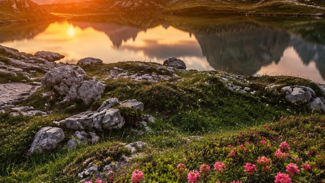 Captivating Landscapes: A Perfect Escape for Your Screen | link alternatif jitu389, casino judi onli