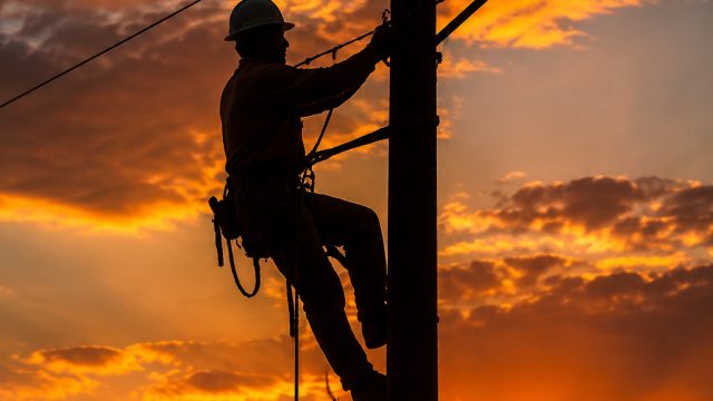 Elevate Your Space with Stunning Lineman Tribute Wallpapers | aplikasi olympus slot, hk siang malam 