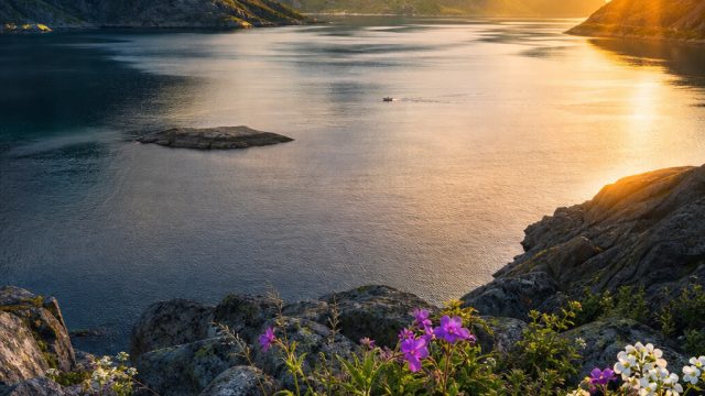 Transform Your Space with Striking Nature Wallpaper | olympus 777, stars 088 slot