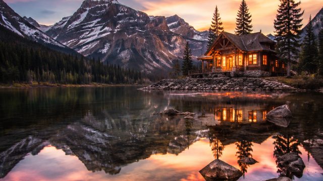Stunning Visuals: The Elegance of Nature in Wallpapers | poker online, link alternatif ibcbet 2021, 