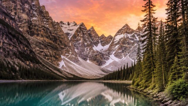Explore the Serene Beauty of Nature in Our Latest Wallpaper Collection | legit csgo gambling sites, 