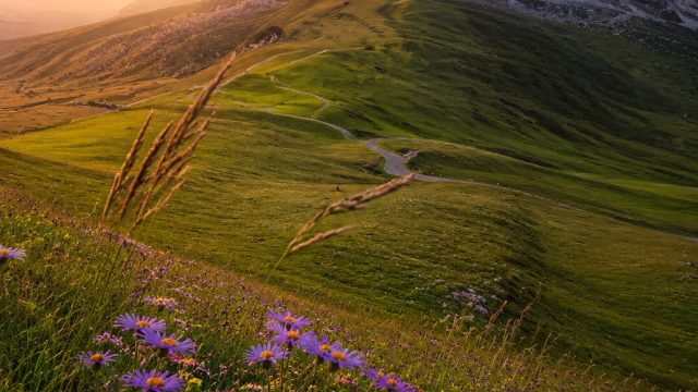 Discover the Beauty of Nature through Stunning Wallpapers | berapa nomor hongkong keluar malam ini, 