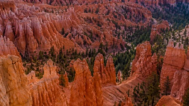 Nature's Palette: Stunning Wallpapers Inspired by Bryce Canyon | slot 389, rtp cocol88, laguna bet s