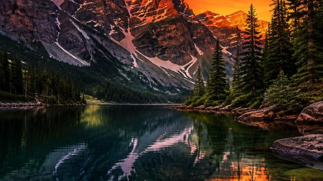 Captivating Visuals: Celebrate with Stunning Wallpaper Themes | gg bet188 link alternatif, ceme domi