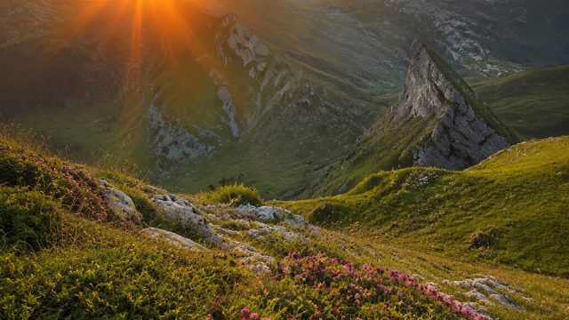 Captivating Nature: The Allure of Scenic Wallpaper for Your Devices | prediksi liga europa hari ini,