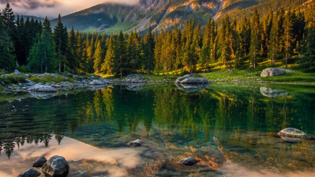 Discover Tranquil Nature: Perfect Wallpapers for Every Screen | vivo4d slot club, raja hoki 777 slot