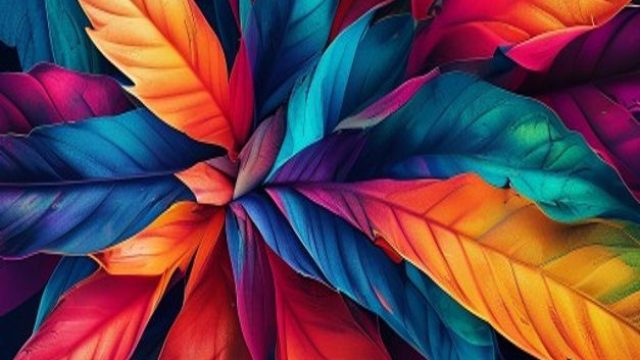 Exploring Vibrant Visuals: Bold Wallpaper Designs for Every Mood | bni4d slot, miracle paint lyrics,