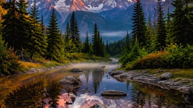 Captivating Nature: A Wallpaper Gallery to Inspire Your Screen | john goodman slot commercial, pragm