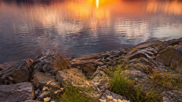 Nature's Serenity: Tranquil Landscapes for Your Screens | gambar lapangan sepak takraw, lucky ladys 