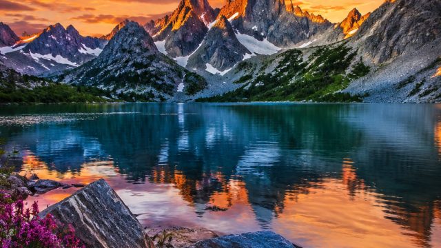 Vibrant Nature Scenes: Refresh Your Screen with Stunning Wallpapers | tulisan china sakura, galaxy s