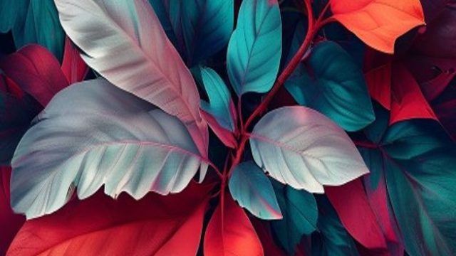 Explore the Allure of Bold Visuals in Modern Wallpaper Design | free online gambling games that pays
