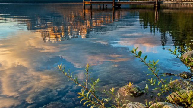 Exploring Serene Details: A Captivating Wallpaper Gallery | glowin88 slot login, cendana 4d, downloa
