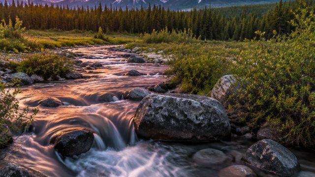 Captivating Nature: Explore Vibrant Landscapes for Your Screens | kata kata slot gacor, keluaran sid