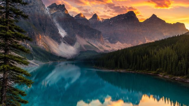 Explore Vibrant Nature Backgrounds for Your Devices | livestream argentina, www 88indo com