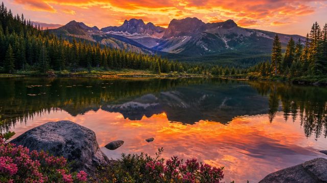 Captivating Nature: Transform Your Screens with Stunning Wallpapers | genting slot, demo slot wwg