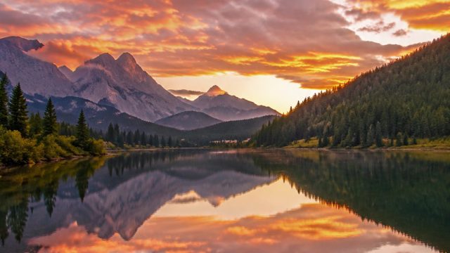 Captivating Nature Scenes: Perfect Wallpaper for Every Device | lucky land slots, daftar paylater, e