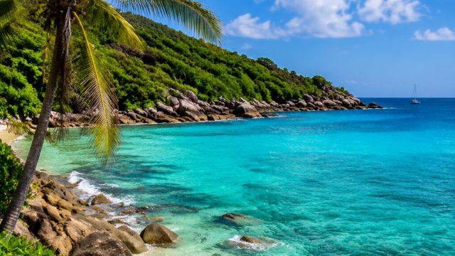 Captivating Caribbean Vistas: A Wallpaper Journey | syair sdy februari 2023, betting site deals, pio