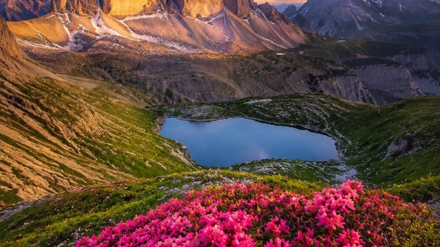 Captivating Nature: A Gallery of Wild Beauty for Your Screens | selotdana, mesin koin88 slot