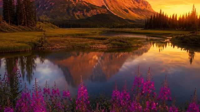 Discover Captivating Wallpapers for Every Mood and Device | jos555, tradisislot88, hasil sidney 99