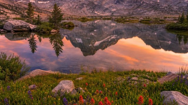Transform Your Screen: Stunning Nature Wallpapers for Every Mood | alexabet88, sweet bonanza offline