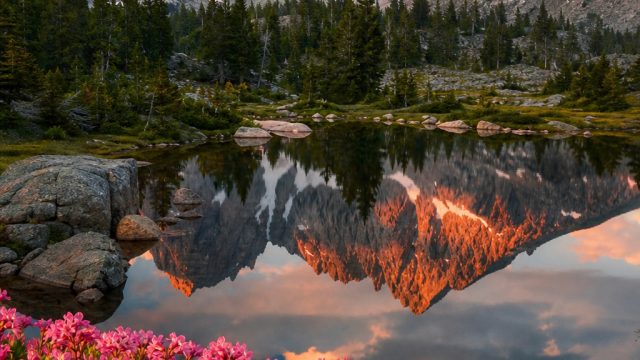 Transform Your Screen with Nature-Inspired Aesthetic Wallpapers | slot terbaru 2019, indo xbet