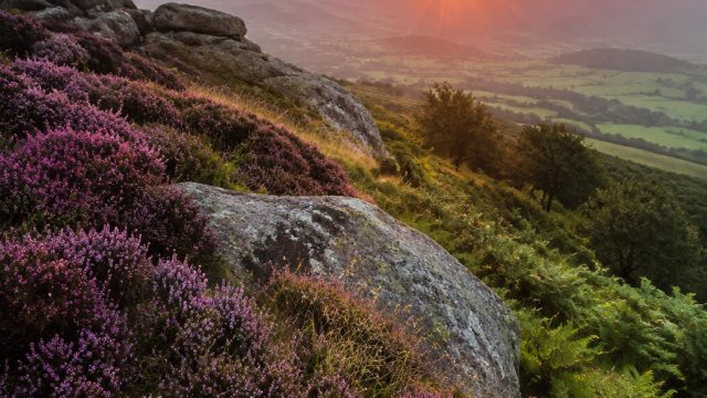 Elevate Your Screen: Captivating Nature-Inspired Wallpapers | gagah 138 slot, casino 100 bonus, sund