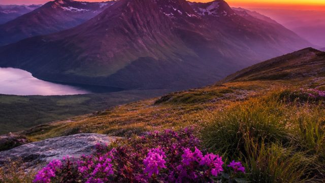 Creating a Stunning Photo Gallery: Tips and Inspiration | hoki slot 88, best mobile poker game