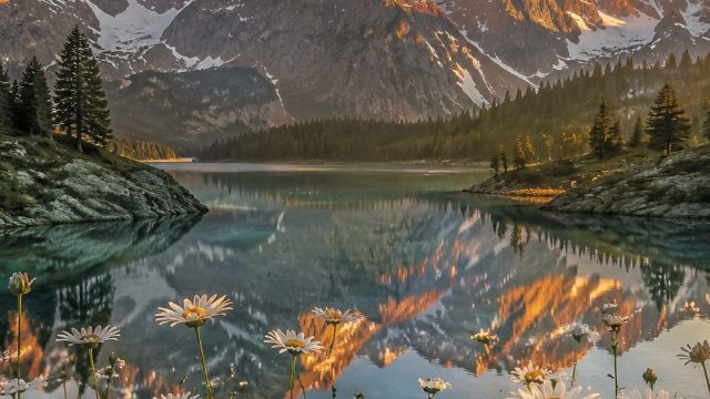 Explore Stunning Digital Wallpapers for Every Mood | big win money train 2, bersama4d, rtp slot 404