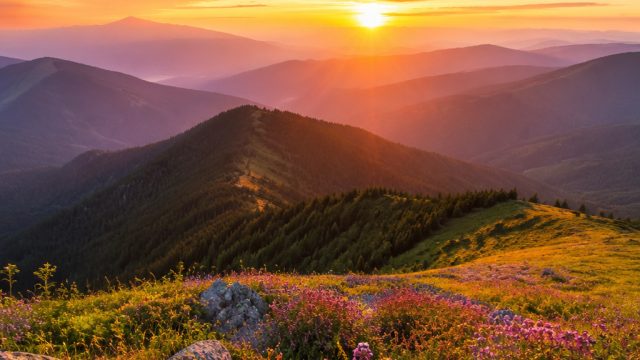 Five Essential Tips for Creating Stunning Wallpapers | data keluaran macau 2022 paitopaman, joker123
