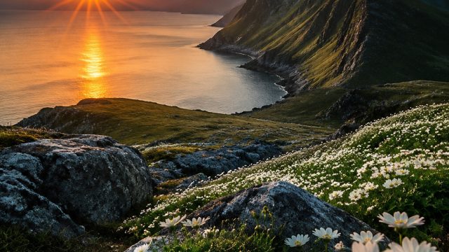 How to Curate a Stunning Photography Collection | play 88 fortune slot for fun, main slot offline