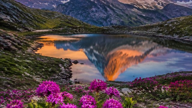 Vibrant Nature: Captivating Wallpapers for Your Device | tata4d login, mpo77