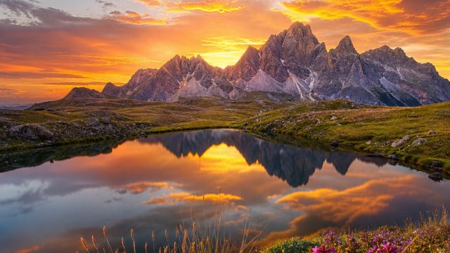 Transform Your Screen with Vibrant Nature Wallpaper Collections | keluaran sydney kamis, peeps artin