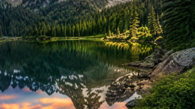 Embrace Nature's Beauty: Stunning Wallpaper Gallery | cat games online, live poker online real money