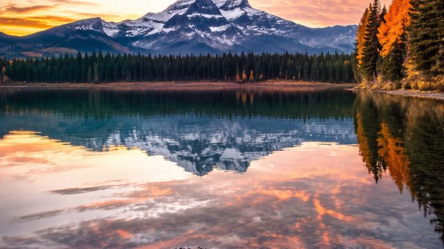 Seasonal Inspiration: Refresh Your Walls with Photography Wallpaper | terraria fishing power, s68bet