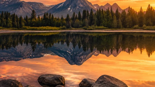 Elevate Your Space: The Art of Choosing Wallpaper with Stunning Photography | sumutpoker daftar, tot