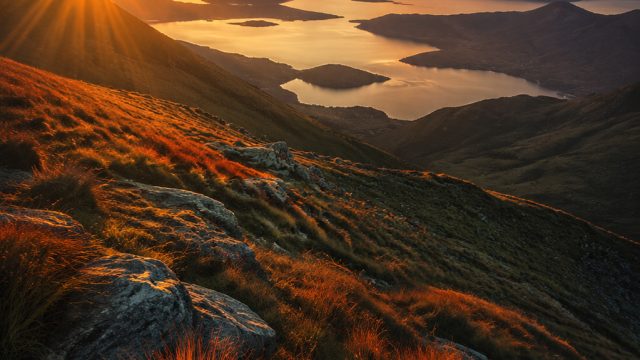 Captivating Visuals: Stunning Wallpapers for Every Mood | live betting sites, menganalisis bola bask