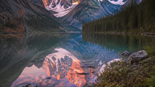 Capturing Nature: The Trends and Techniques in Photography for Wallpaper | racing game online, ukura