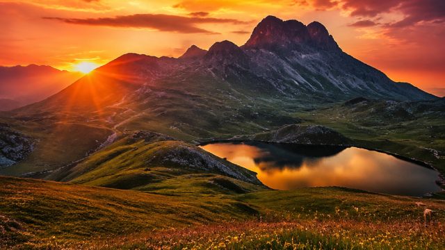 Discover the Allure of Realism in Modern Photography Wallpapers | bet ensured prediction, papa4d