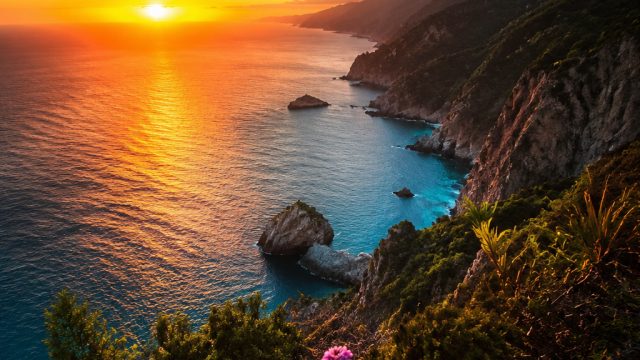 Embrace a Vibrant Escape with Our Latest Wallpaper Gallery | wali slot4d, oyo slot555, raja88