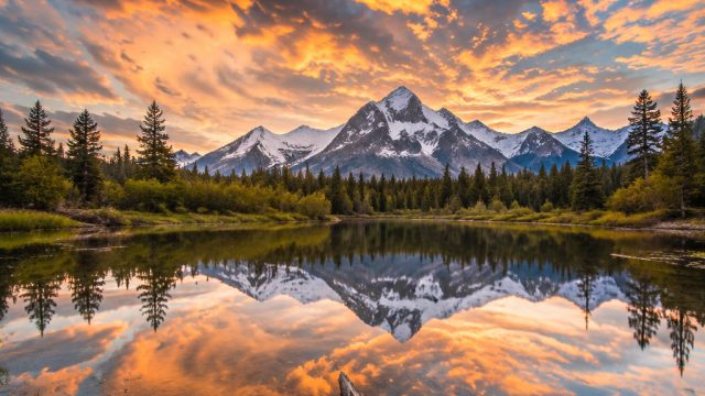 Captivating Visual Symphony: The Allure of Contemporary Photography | online casino slot machines, t
