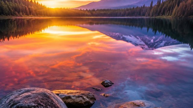 Serenity in Stillness: Unique Wallpaper for Your Digital Space | alexistogel login rtp, rajahoki89, 
