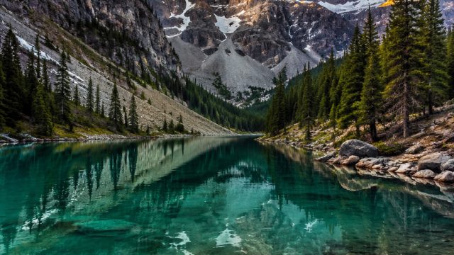 Explore the Enchanting World of Textured Backgrounds | rtp sky 77, zil usd