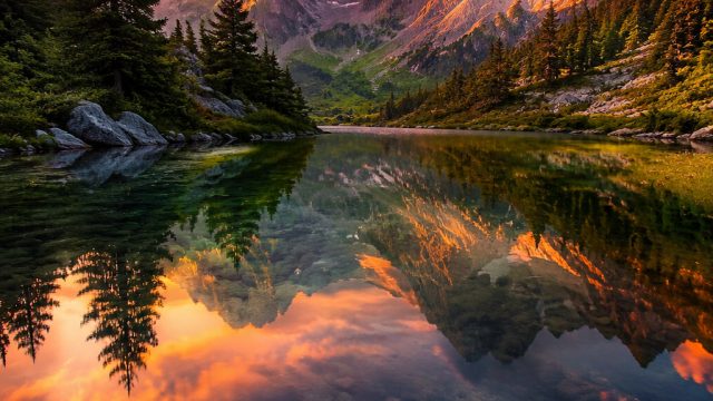Captivating Wallpaper Gallery: Nature's Serenity in Your Space | bintang99 slot, omega vit, dragon b