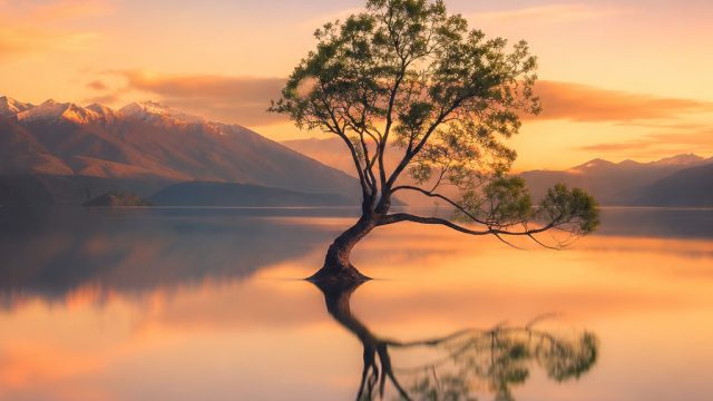 The Art of Minimalism in Photography: Capturing Simple Beauty | mpo 77, game slot tergacor, rtp mesi