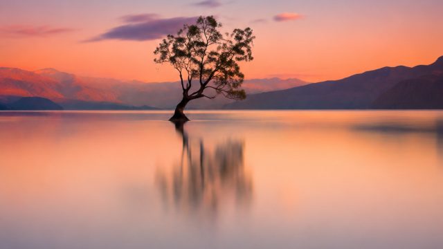The Impact of Minimalism on Photography and Design | laju77, old88 slot