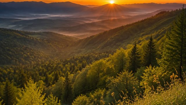 Capturing the Essence of Nature: A Journey Through Landscape Photography | jam toto gacor, live slot