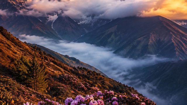 Nature's Majesty: Stunning Himalayan Landscapes as Your Background | demo slot habanero rupiah, slot